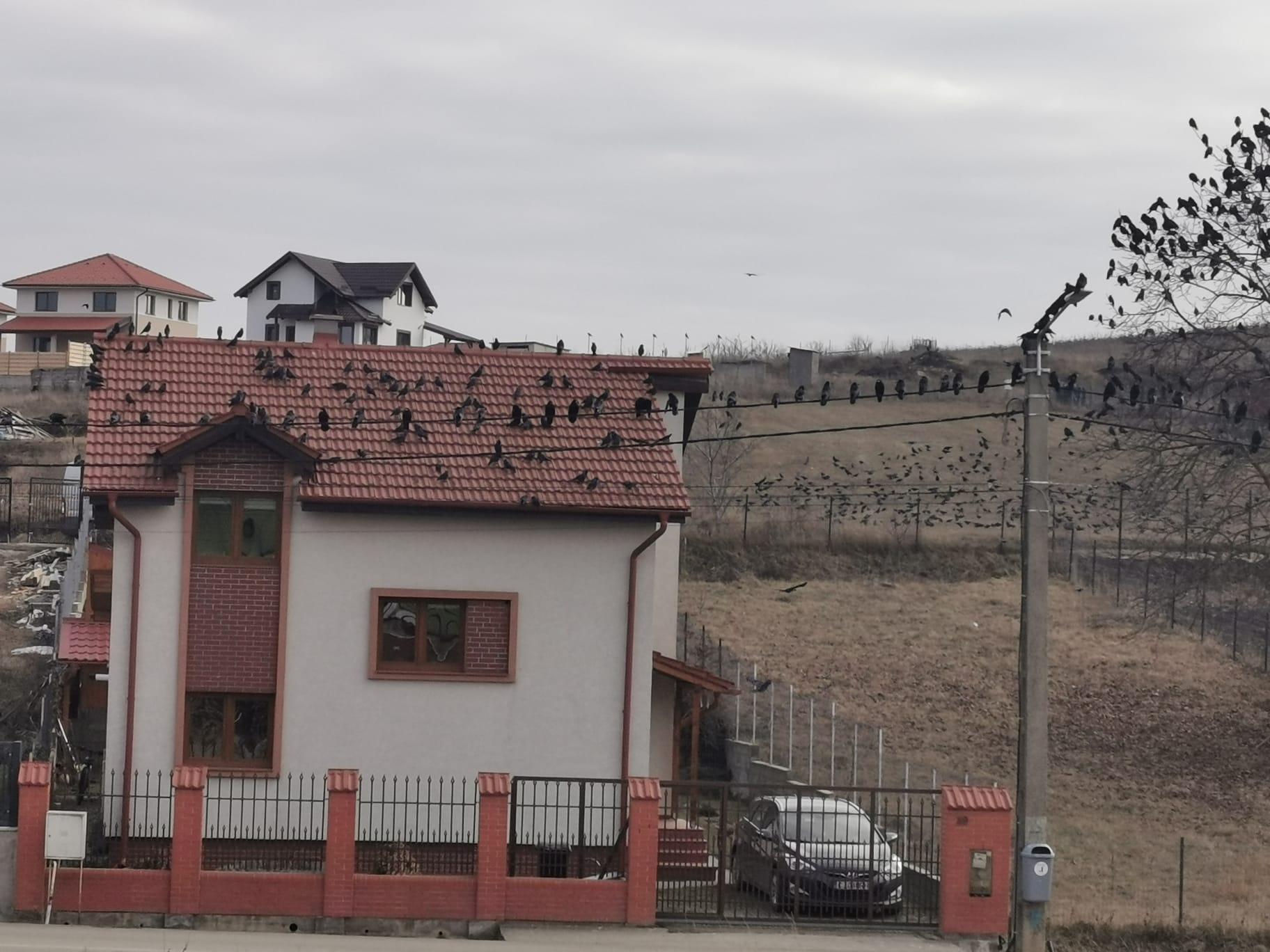 WhatsApp Image 2024-01-13 at 14.09.07 (2).jpeg