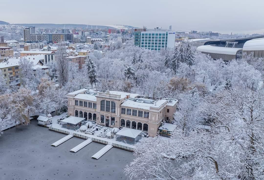 WhatsApp Image 2023-12-24 at 10.26.50 (1).jpeg