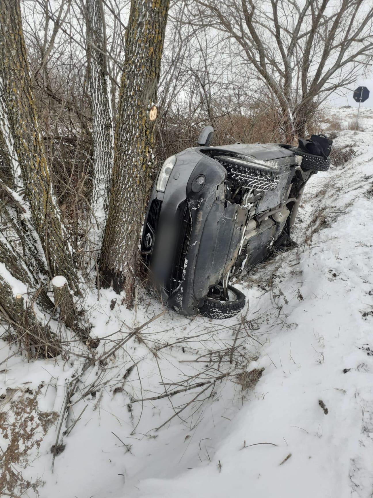 WhatsApp Image 2023-12-23 at 17.31.16.jpeg