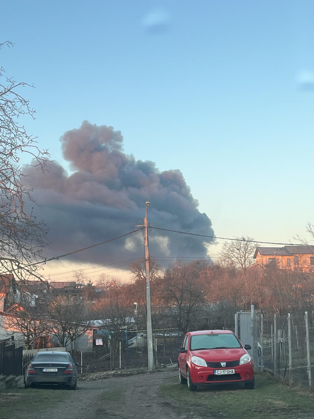 WhatsApp Image 2024-02-15 at 07.40.49.jpeg