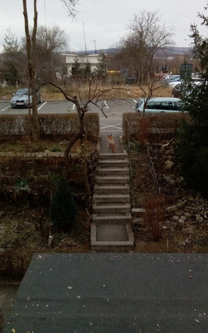 426673320_1113842803084156_4188928326096689101_n (1).jpg