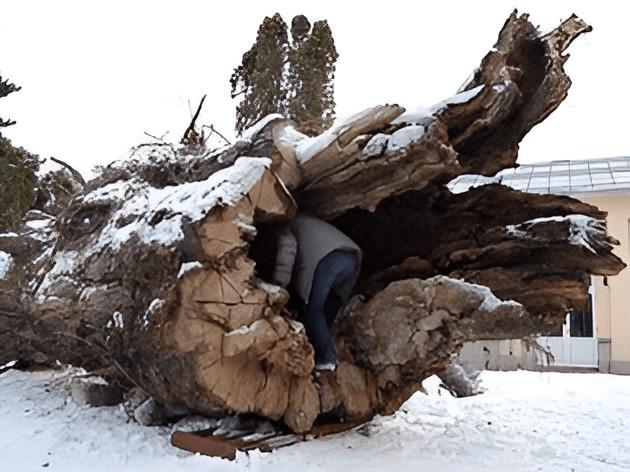 424889221_10211731086310280_226449860107223577_n (1).jpg