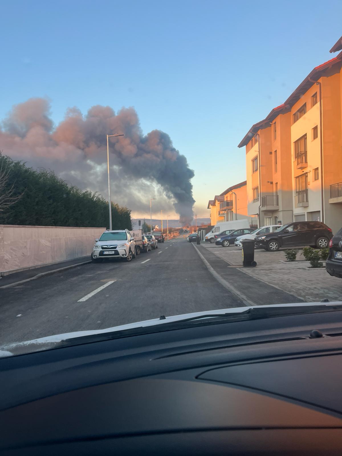 WhatsApp Image 2024-02-15 at 07.43.03.jpeg