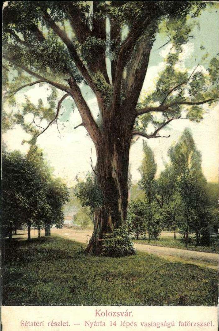 422080563_10211731086350281_8609207786967642156_n (1).jpg