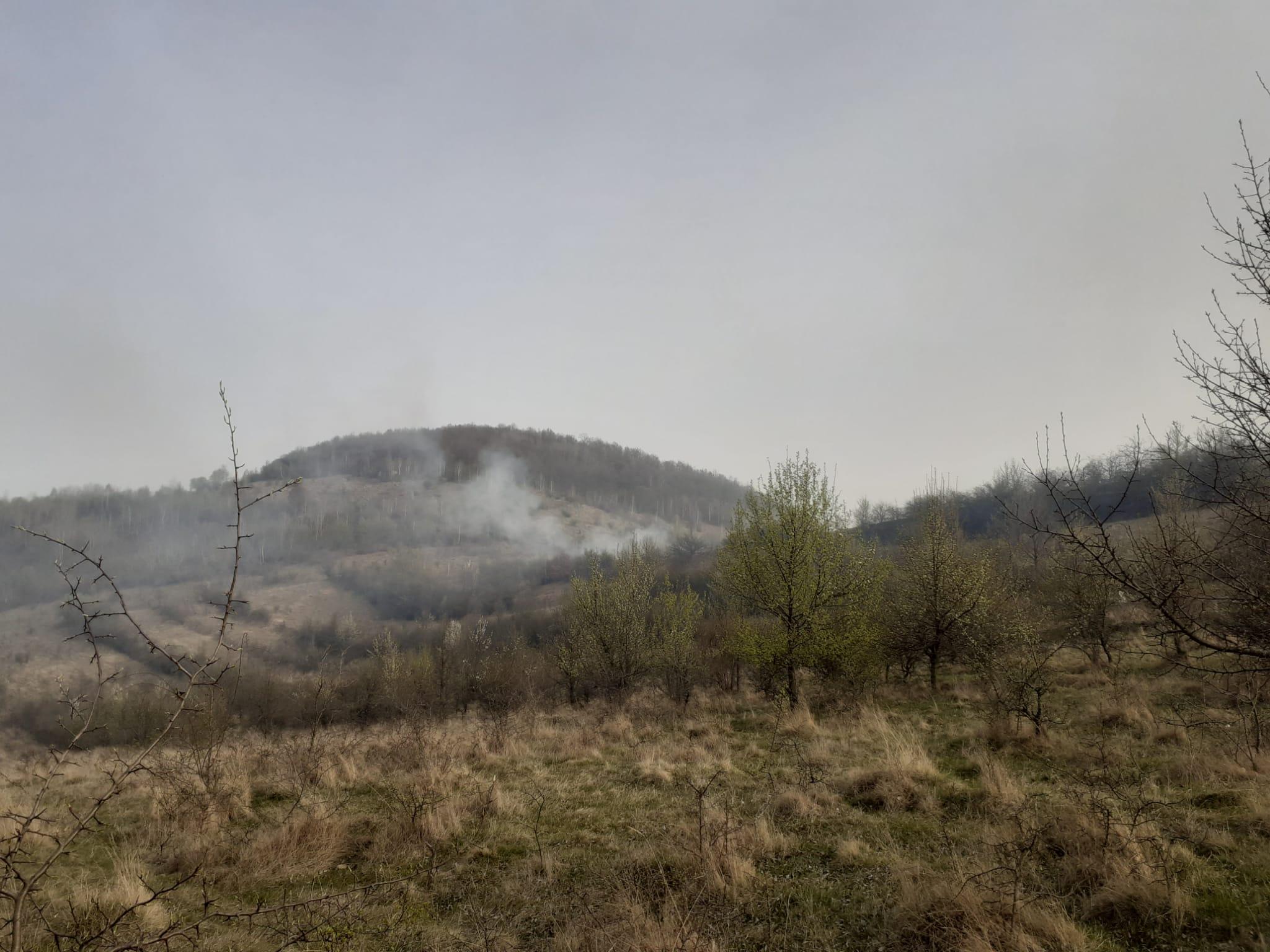 WhatsApp Image 2024-03-31 at 19.04.41_3e6d9ce0.jpg