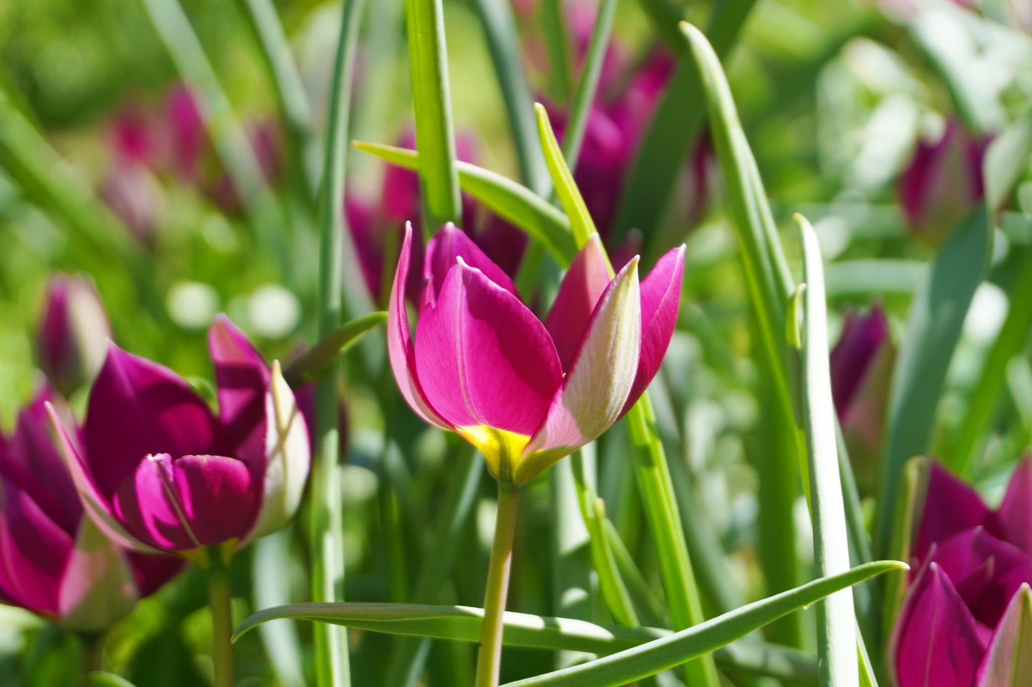 434209643_905723341354407_1764740433563341860_n (1).jpg