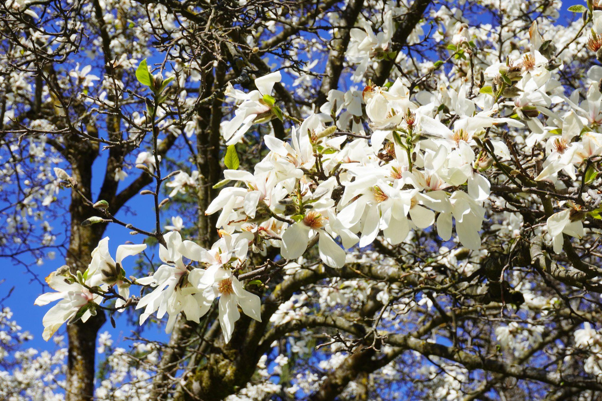 434776439_905723594687715_3786692235088307465_n (1).jpg