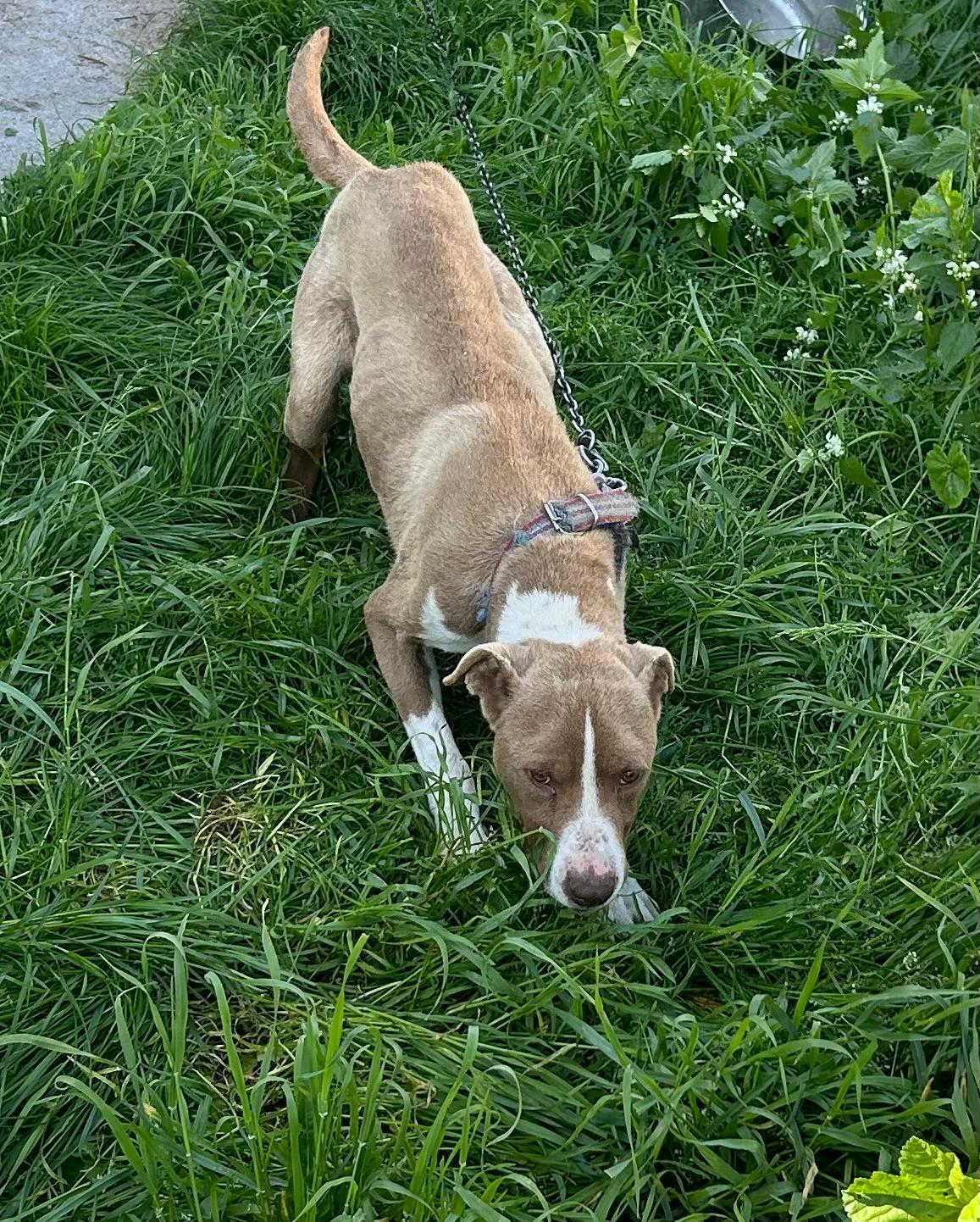 WhatsApp Image 2024-05-15 at 16.31.05.jpeg