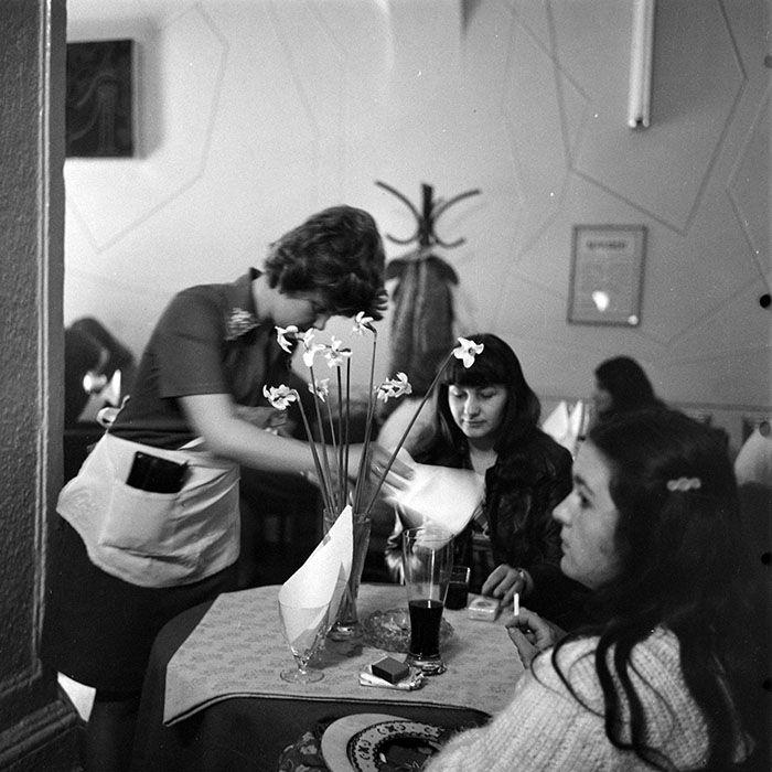 443716962_10211961201743022_1223497631474069910_n (1).jpg