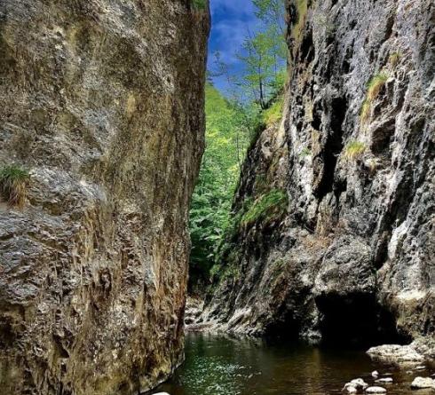 Screenshot 2024-05-22 121743.png