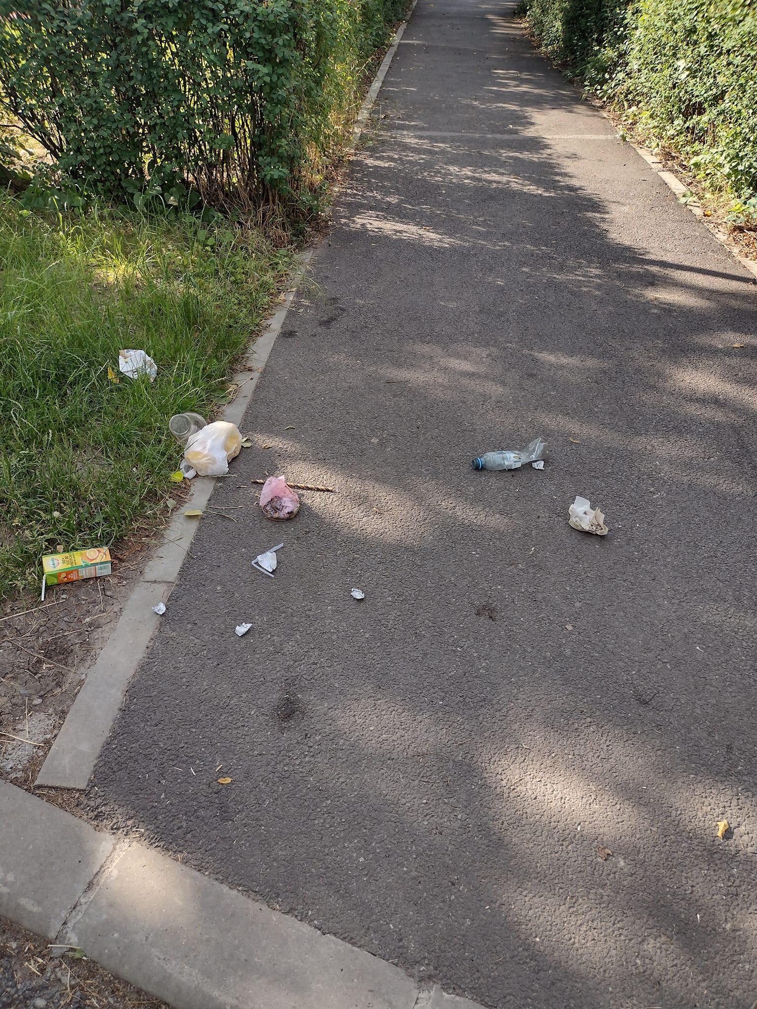 detunata mizerie 4.jpg