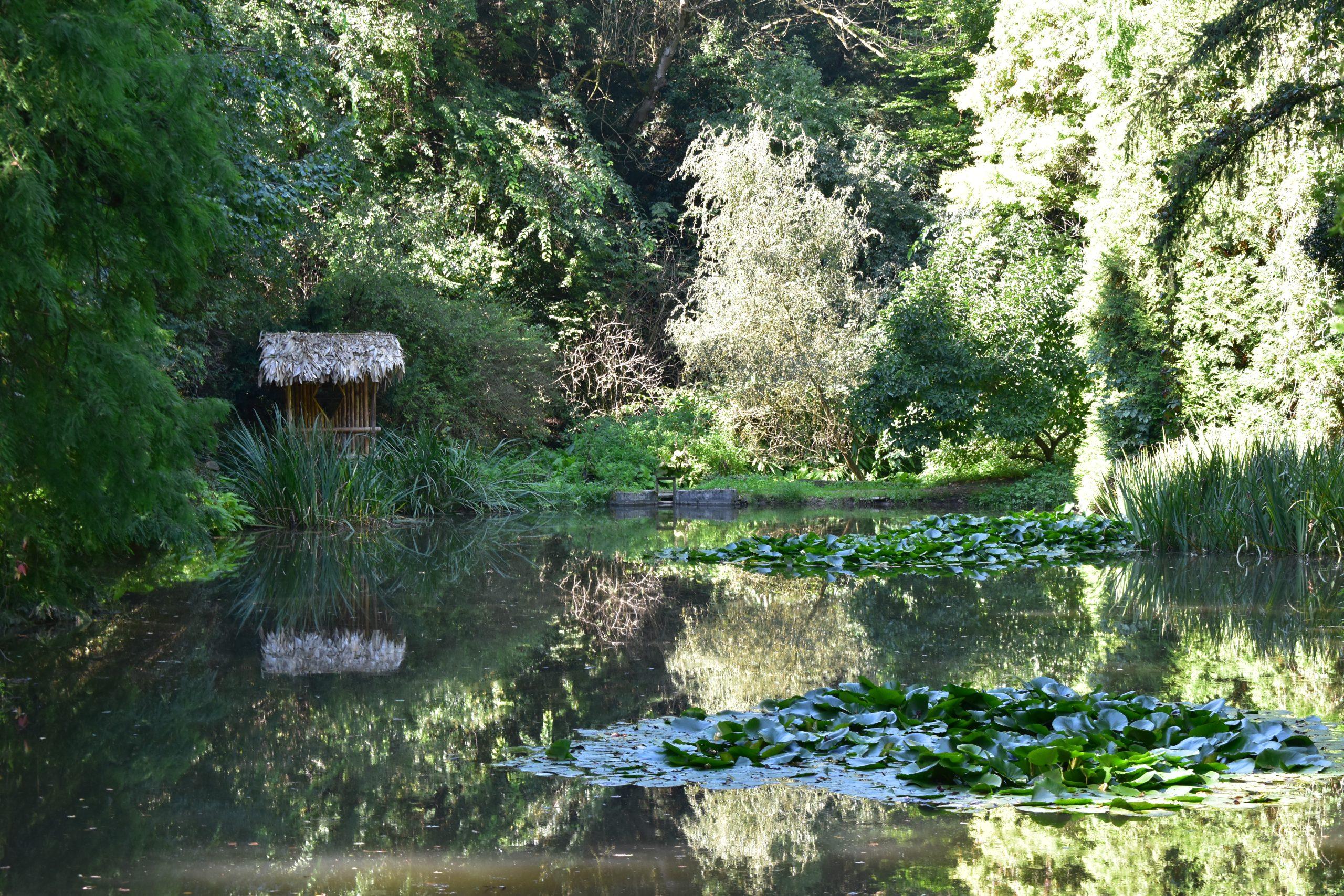 Arboretumul-Simeria-8-scaled (1).jpg