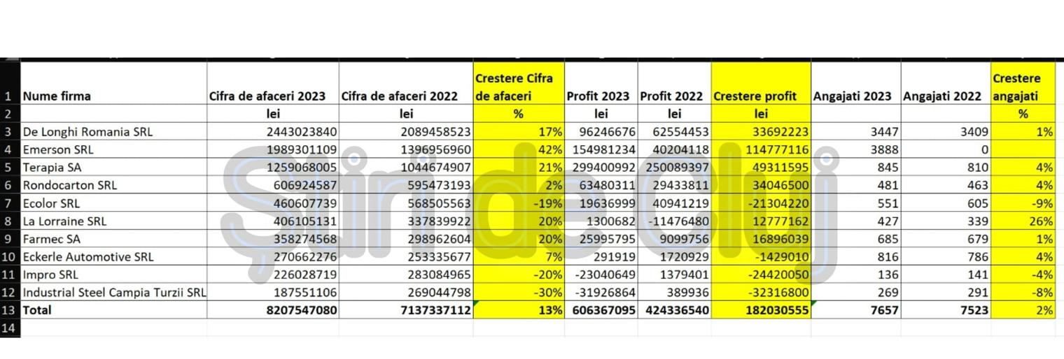 top 10 firme cluj angajati si cifra de afaceri stiri de cluj.png