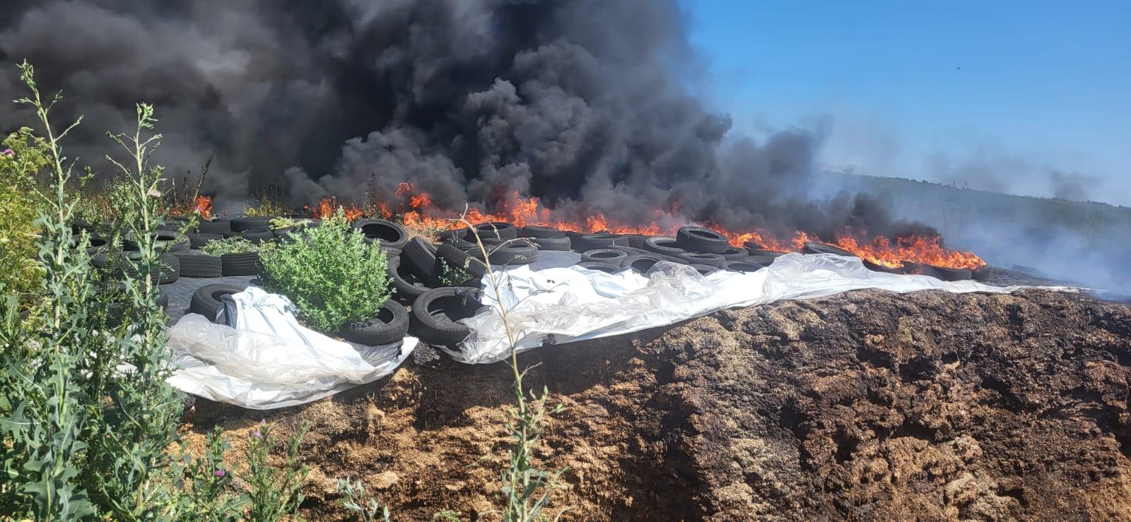 WhatsApp Image 2024-06-30 at 11.13.47_2fc6a8a1.jpg