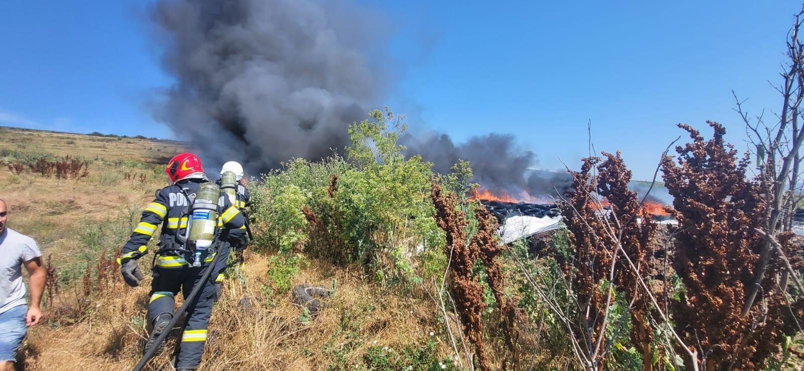 WhatsApp Image 2024-06-30 at 11.13.47_0abbaf76.jpg