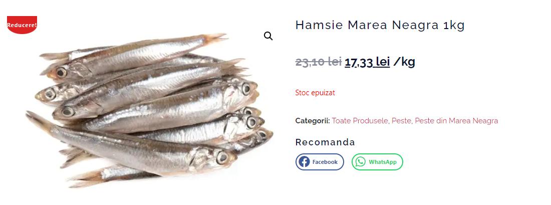 Screenshot 2024-07-02 123102.png