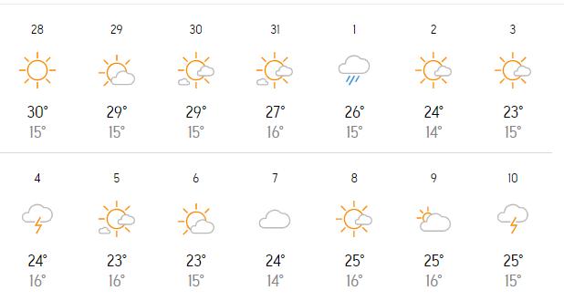 Screenshot 2024-07-20 081219.png