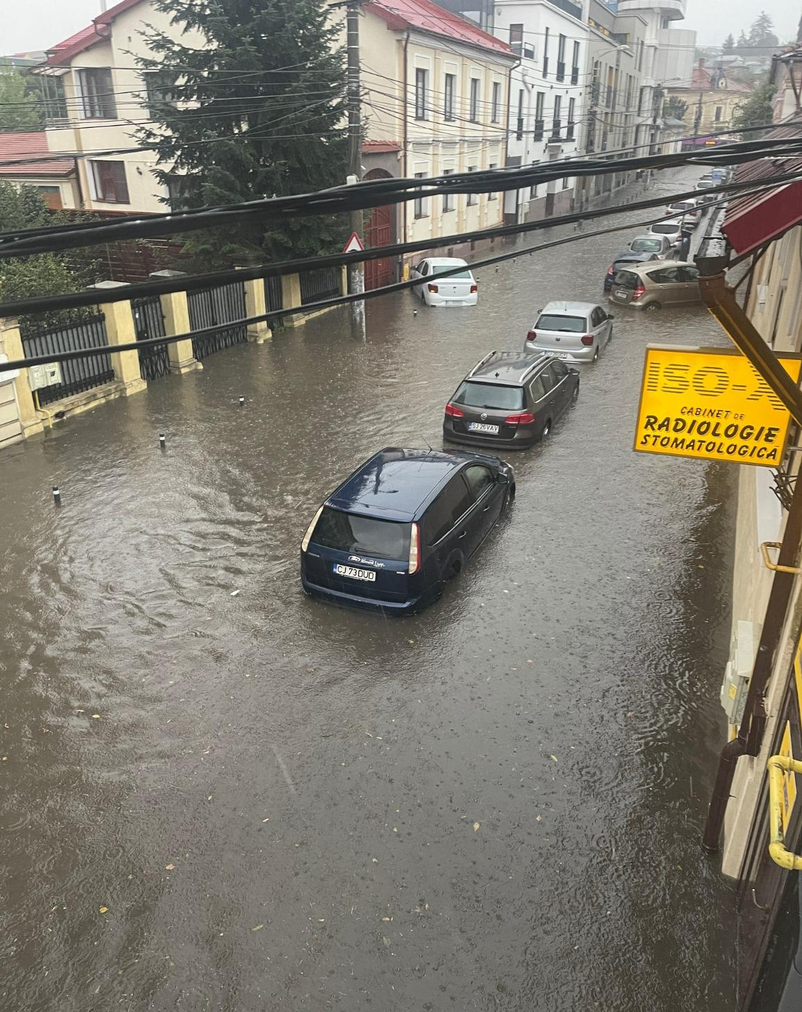 c28d3fdb-5119-4daf-b2db-6955c86b6074 (1).jpg