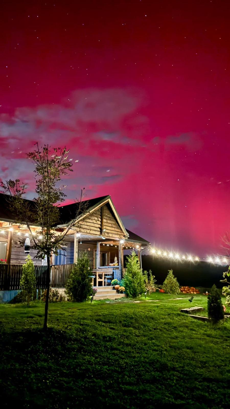 WhatsApp Image 2024-10-11 at 15.03.17_2d132f41.jpg