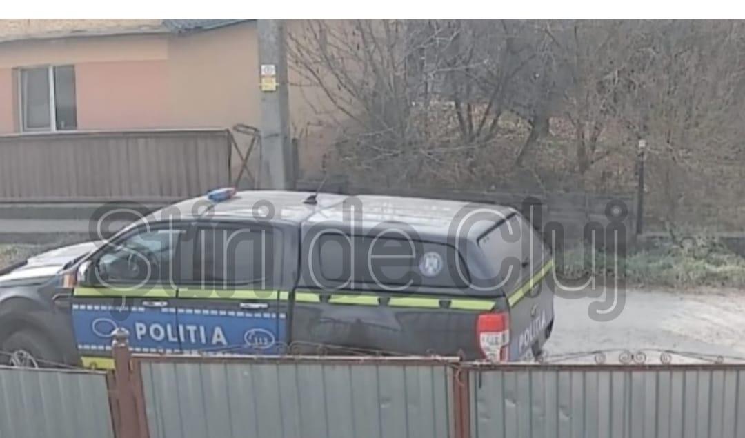 politie pisica 2.jpg