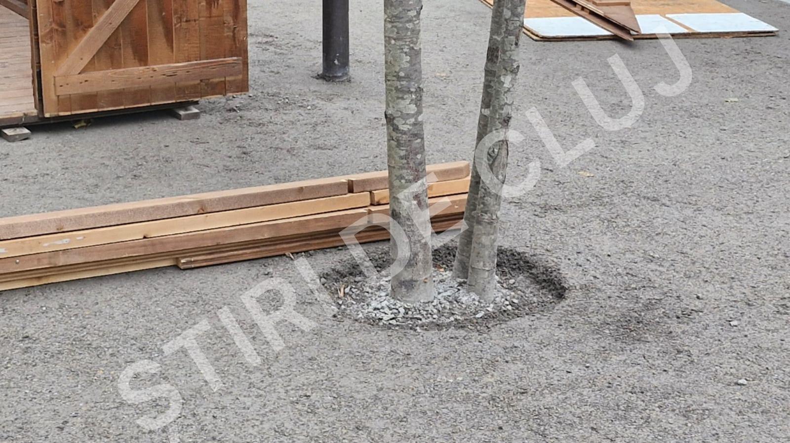 WhatsApp Image 2024-11-20 at 16.06.20 (2).jpeg