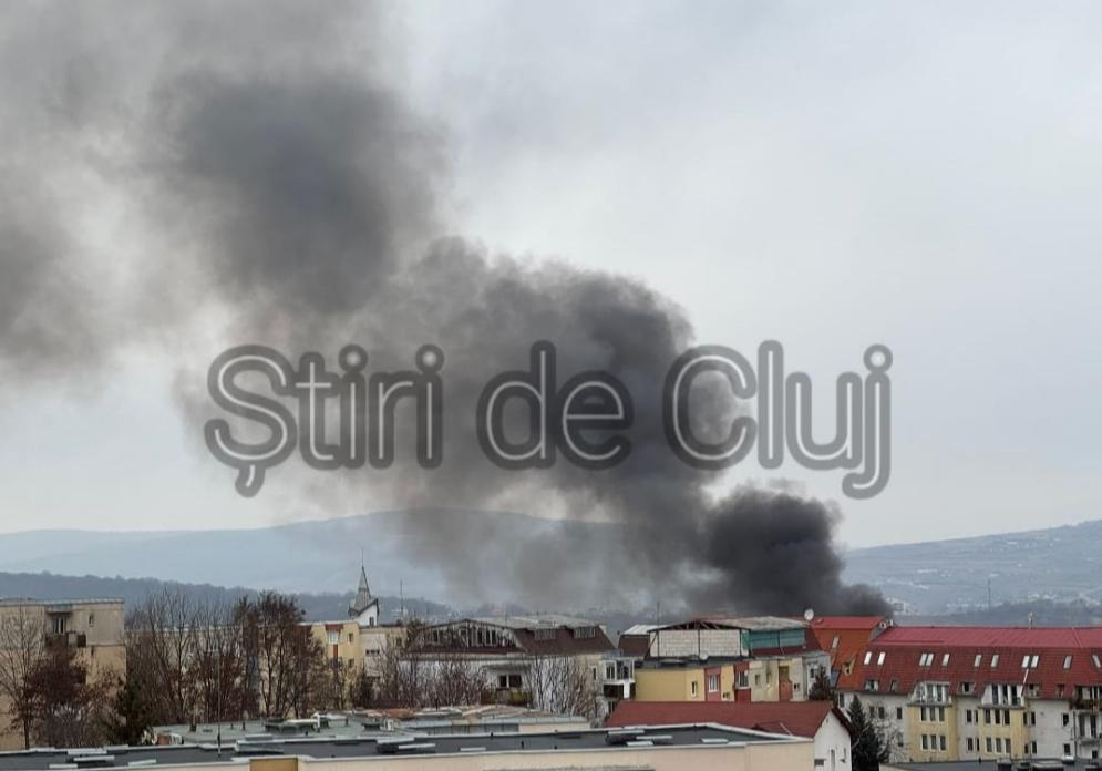 Screenshot 2024-12-14 134248.png