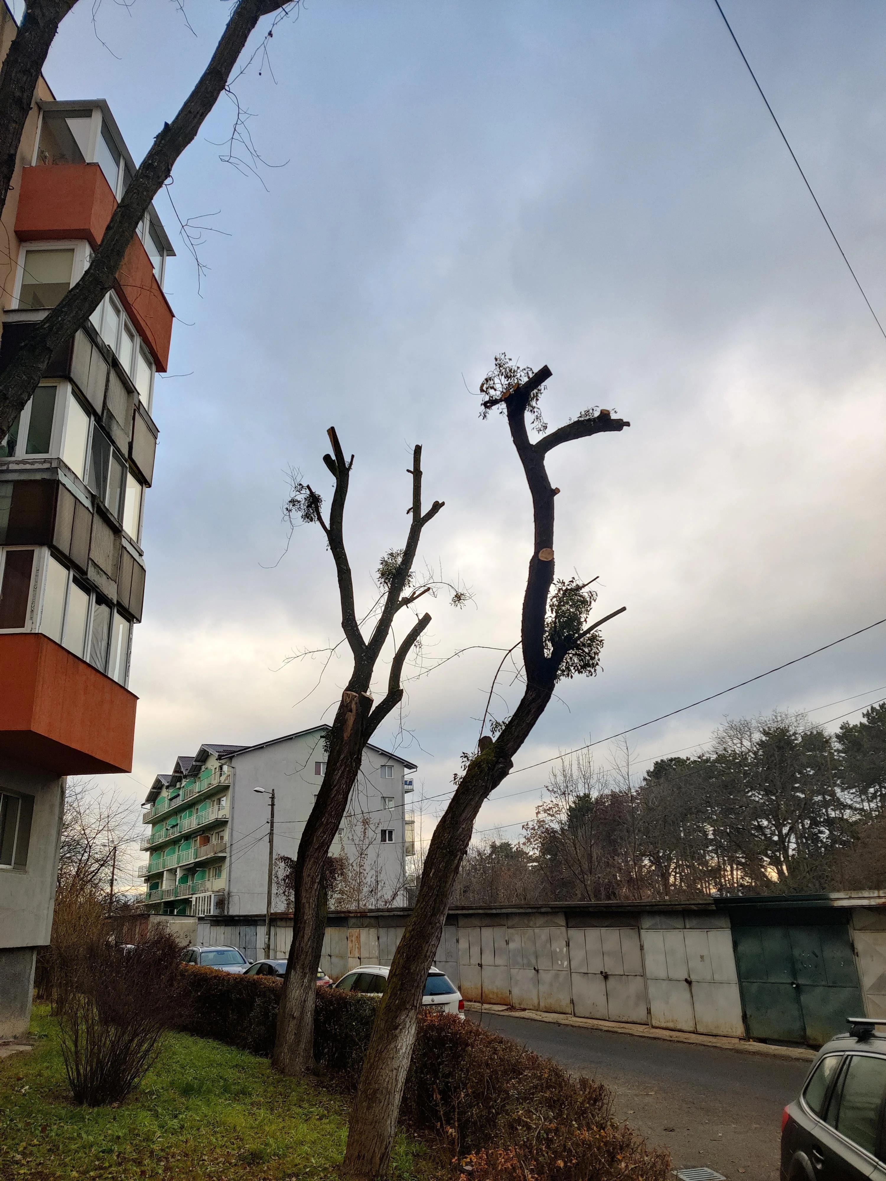 dorel-strikes-again-la-nici-o-saptamana-de-la-amenzi-v0-bh1ptlqt9d7e1 (3).webp