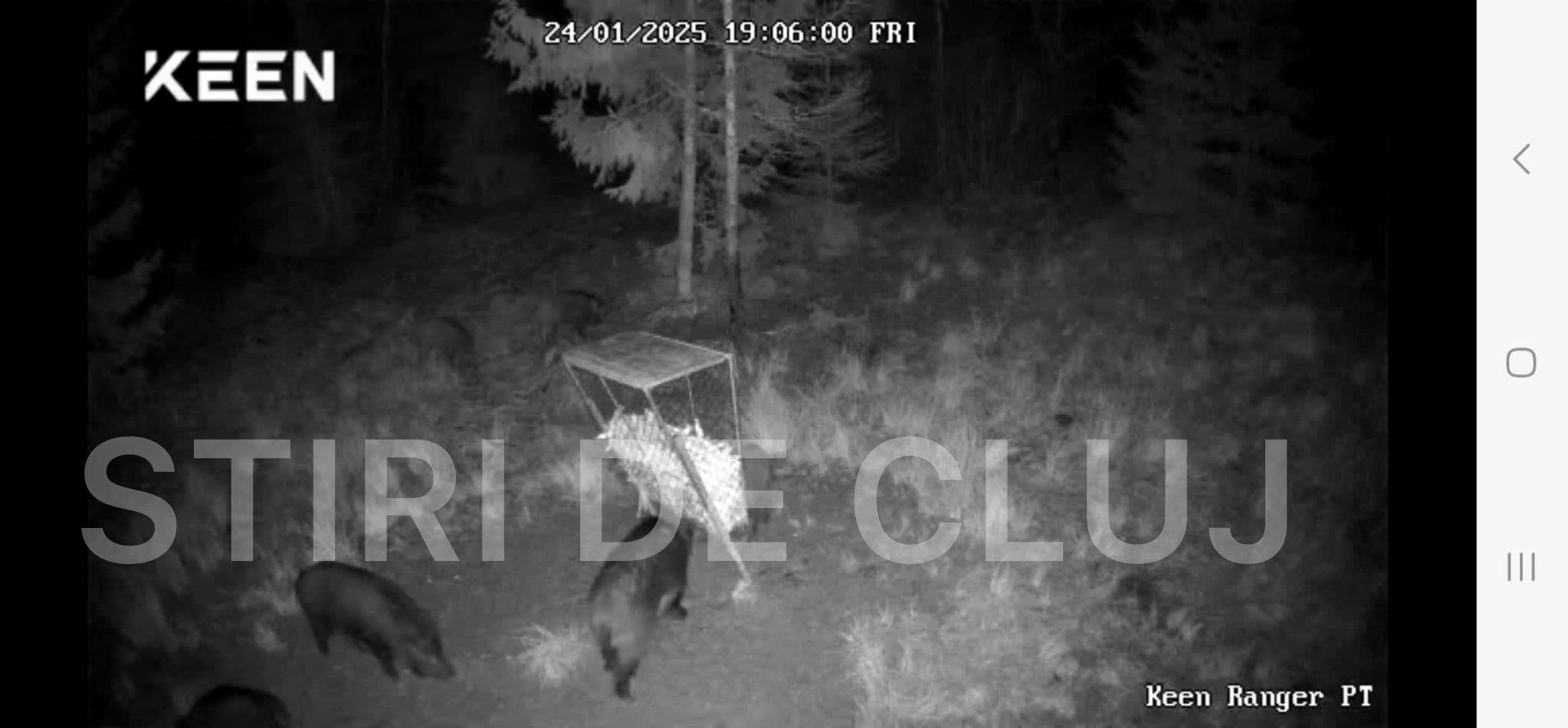 WhatsApp Image 2025-01-25 at 09.43.27_102bf0ca.jpg