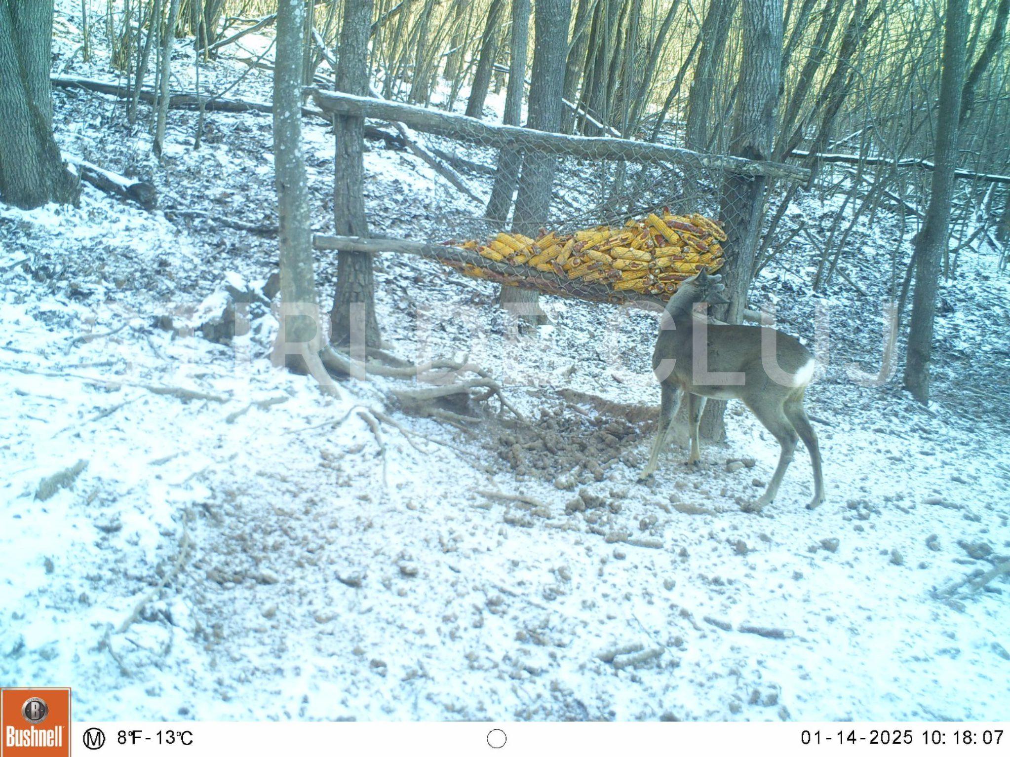 WhatsApp Image 2025-01-25 at 09.43.34_56473c80.jpg