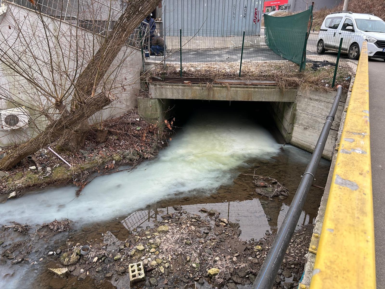 474589872_946052770998757_8218506105841969774_n (3).jpg