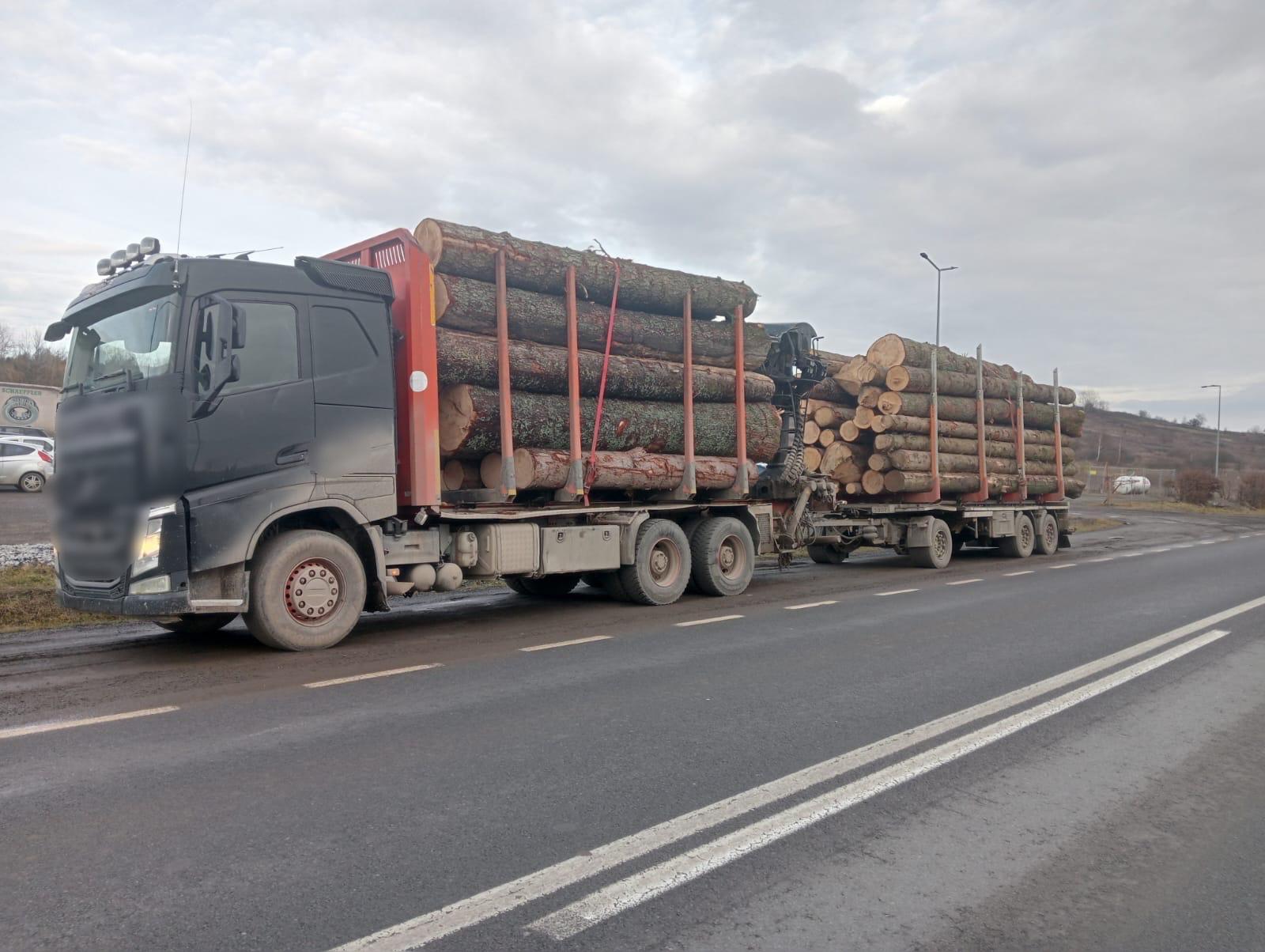 ACȚIUNE A POLIȚIȘTILOR LA HUEDIN ÎN COLABORARE CU ISCTR 2.jpeg