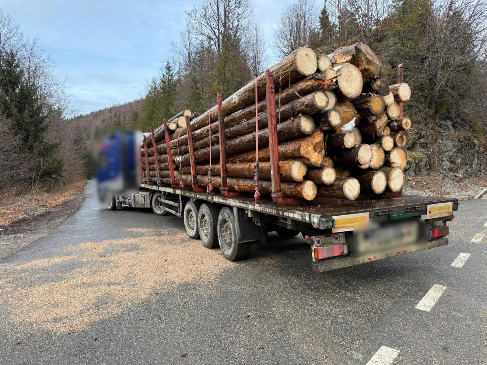 ACȚIUNE A POLIȚIȘTILOR LA HUEDIN ÎN COLABORARE CU ISCTR 1.jpeg