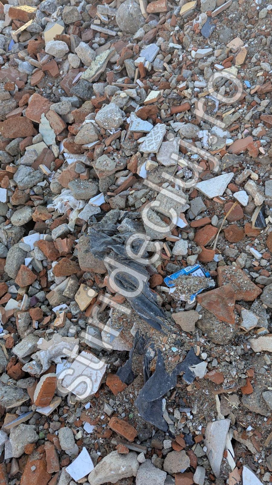 stiridecluj.ro (5).jpg