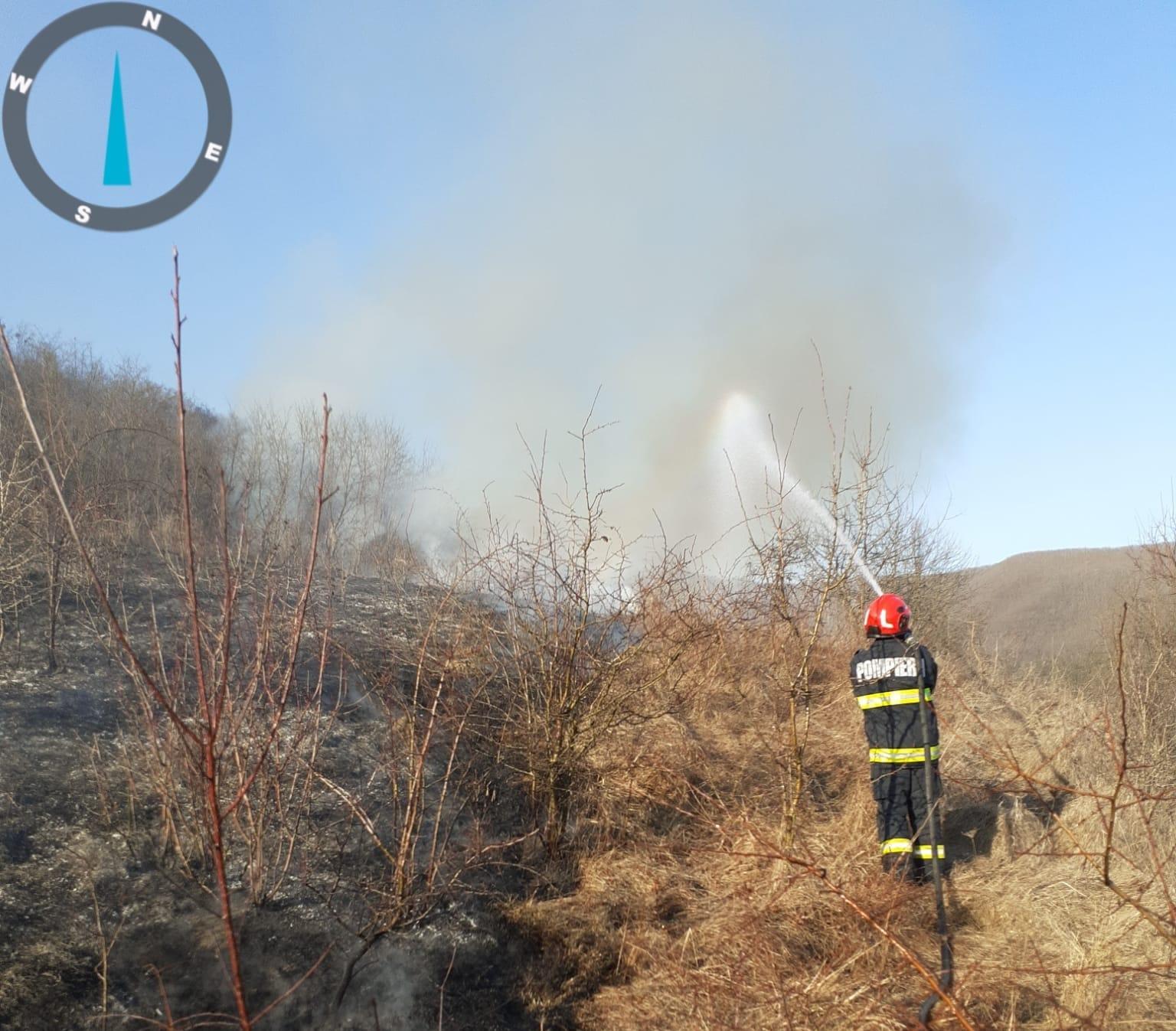 WhatsApp Image 2025-02-22 at 18.24.11_611f5620.jpg