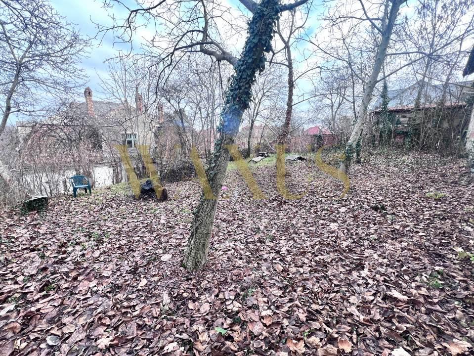 476724797_9749597668408015_6336495880089505665_n.jpg