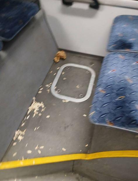 mizerie M41 apahida 2.JPG