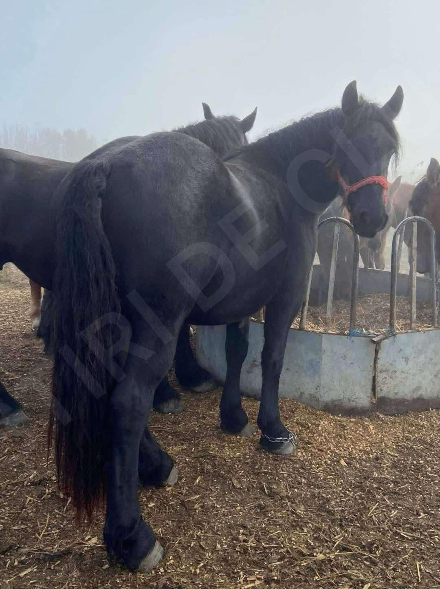 WhatsApp Image 2025-02-28 at 13.32.41_01b22b42.jpg