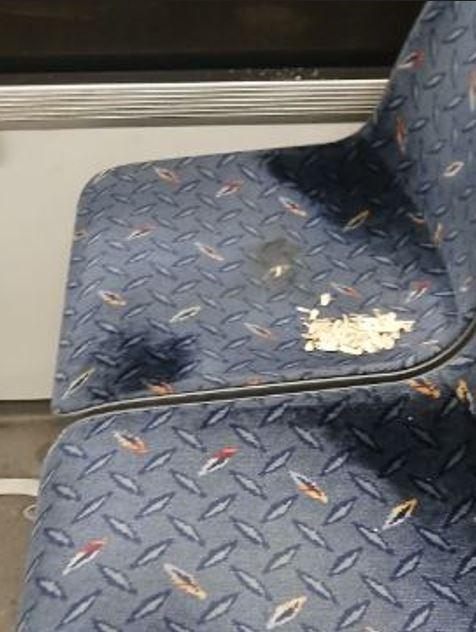 mizerie M41 apahida 4.JPG