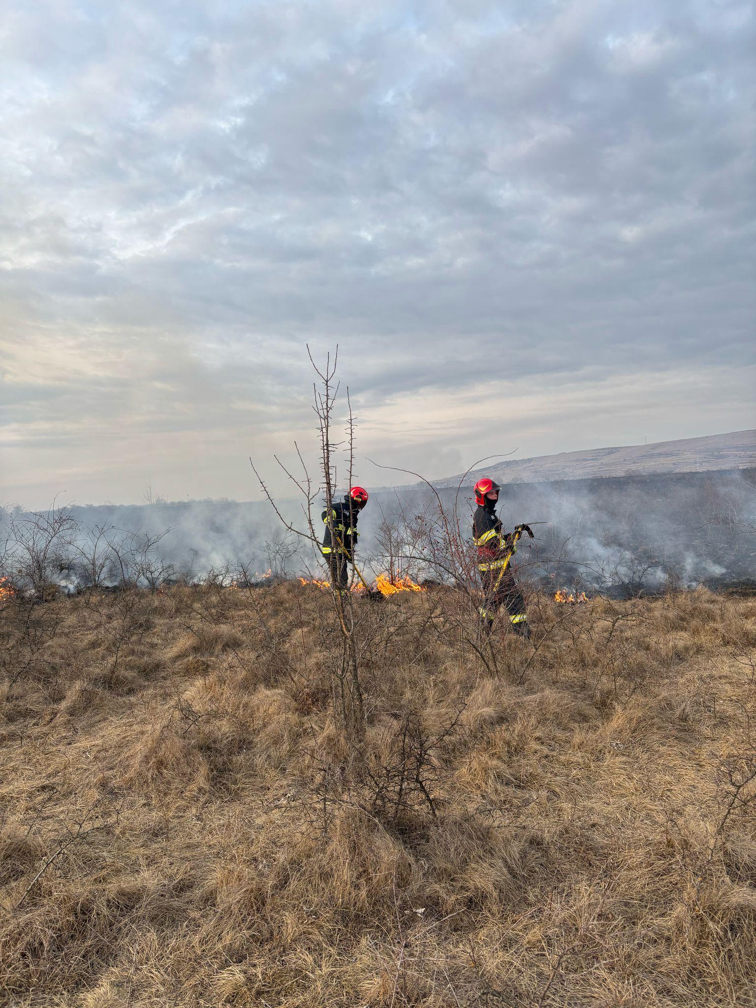 WhatsApp Image 2025-02-27 at 17.33.44.jpeg