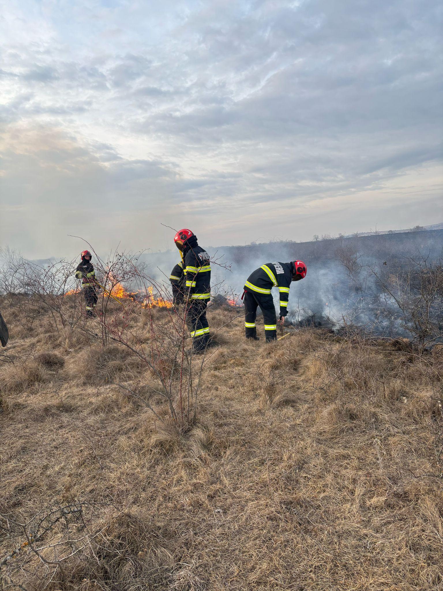 WhatsApp Image 2025-02-27 at 17.33.44 (1).jpeg