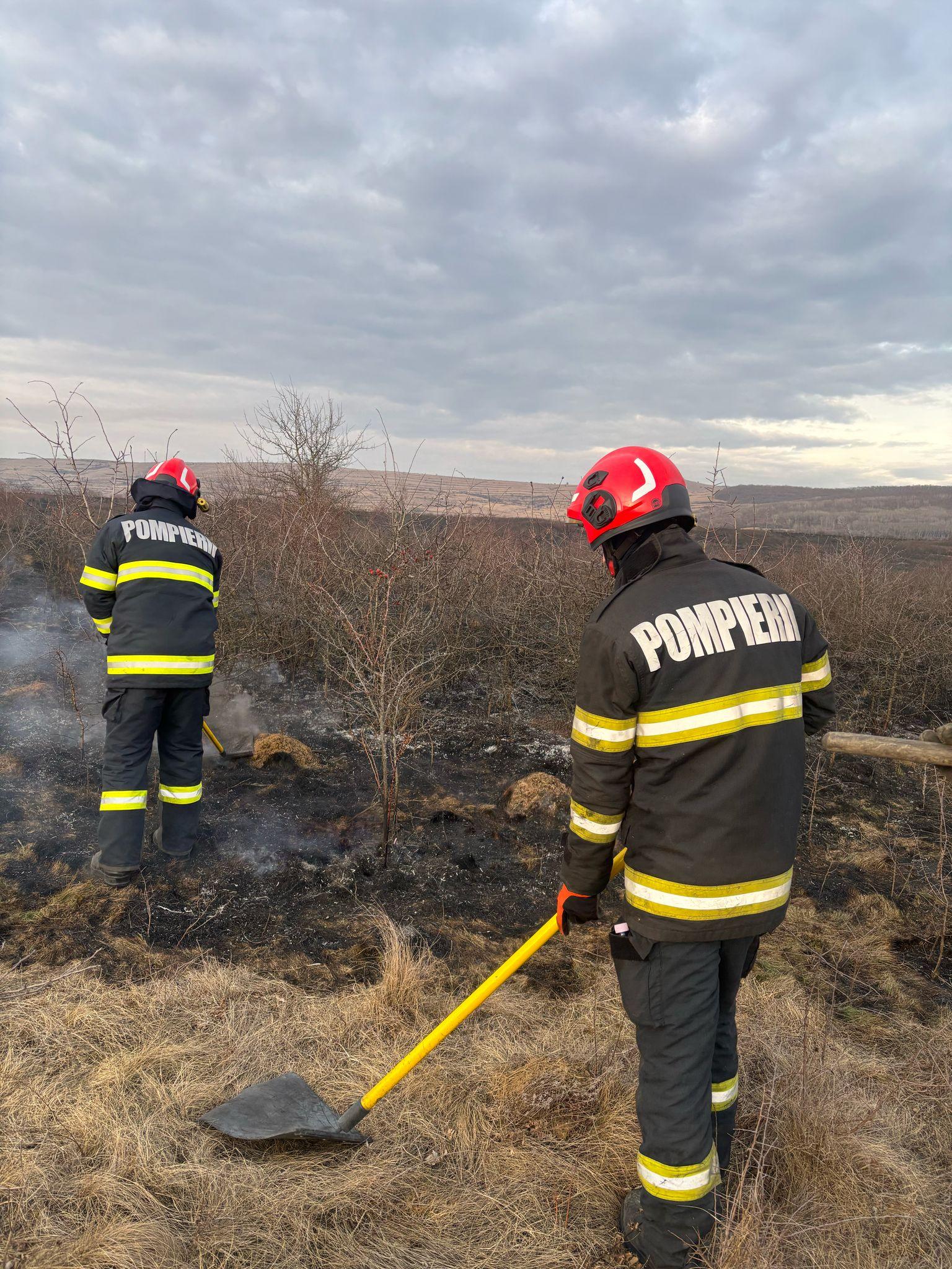 WhatsApp Image 2025-02-27 at 17.33.44 (2).jpeg