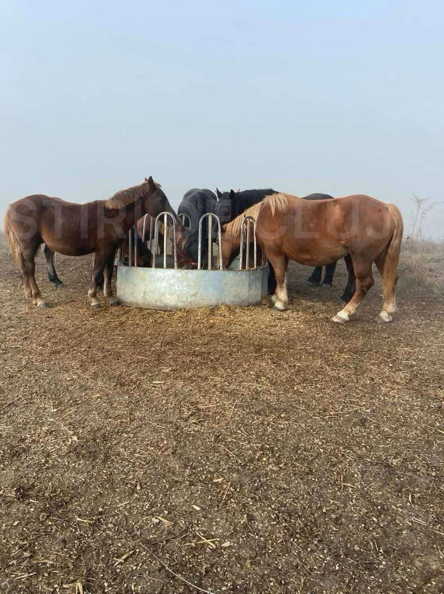 WhatsApp Image 2025-02-28 at 13.32.42_fa92b78b.jpg