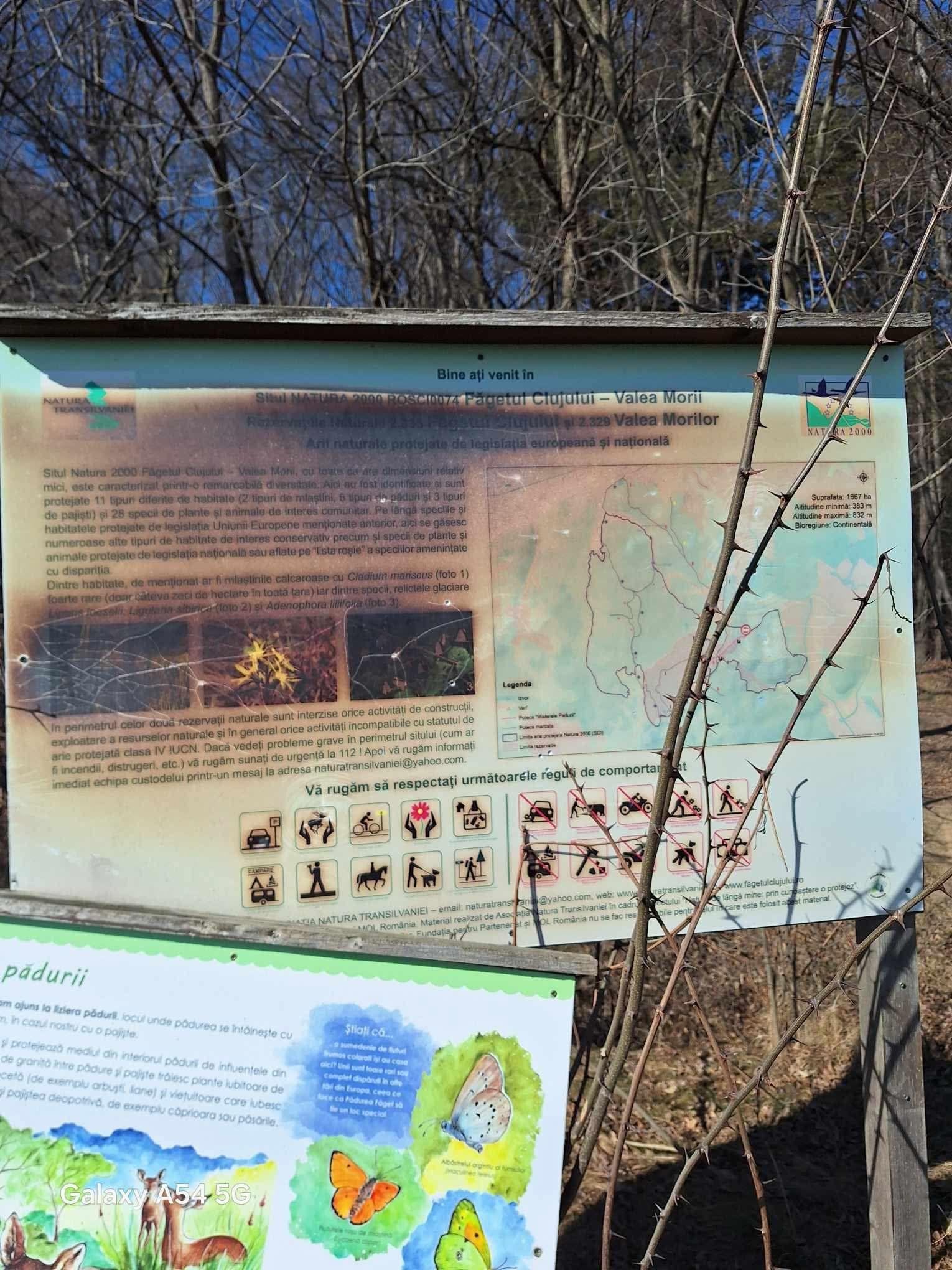 WhatsApp Image 2025-02-24 at 12.36.01_a57925f5.jpg