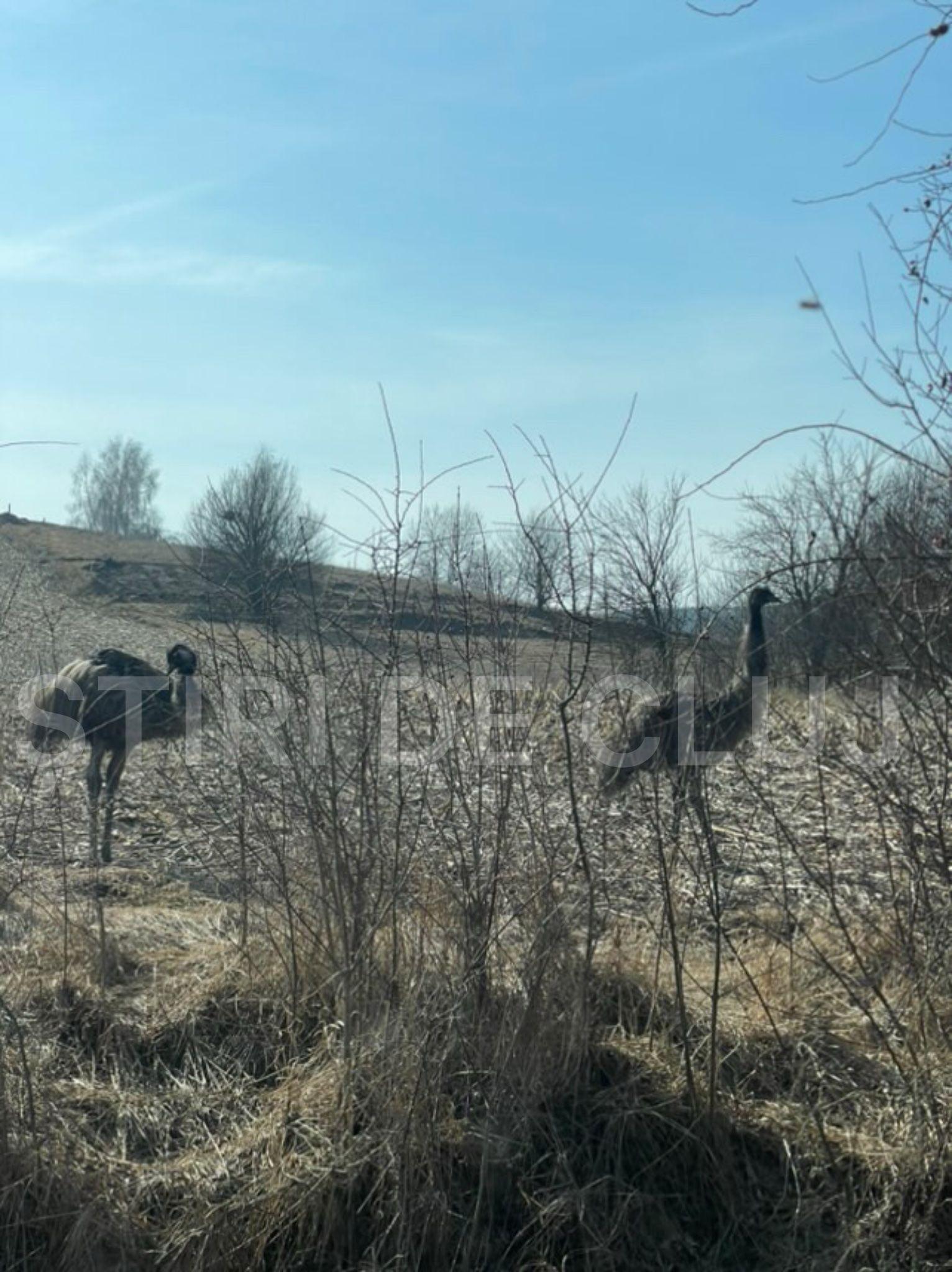 WhatsApp Image 2025-02-27 at 13.58.50_430bdeac.jpg