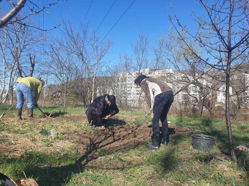 trei dintre noi in gradina.jpeg