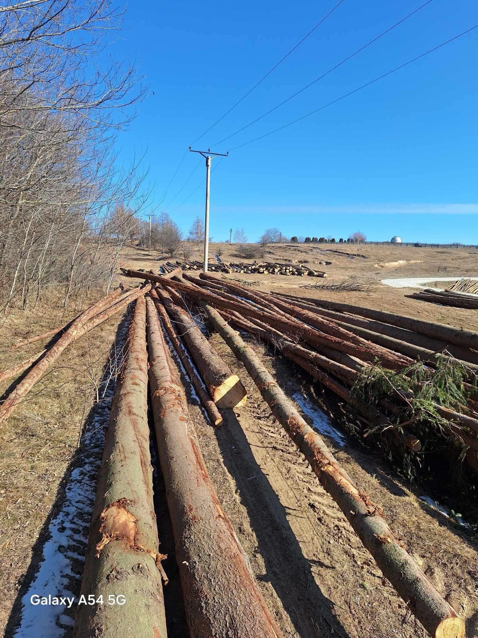 WhatsApp Image 2025-02-24 at 12.36.00_d2c63743.jpg