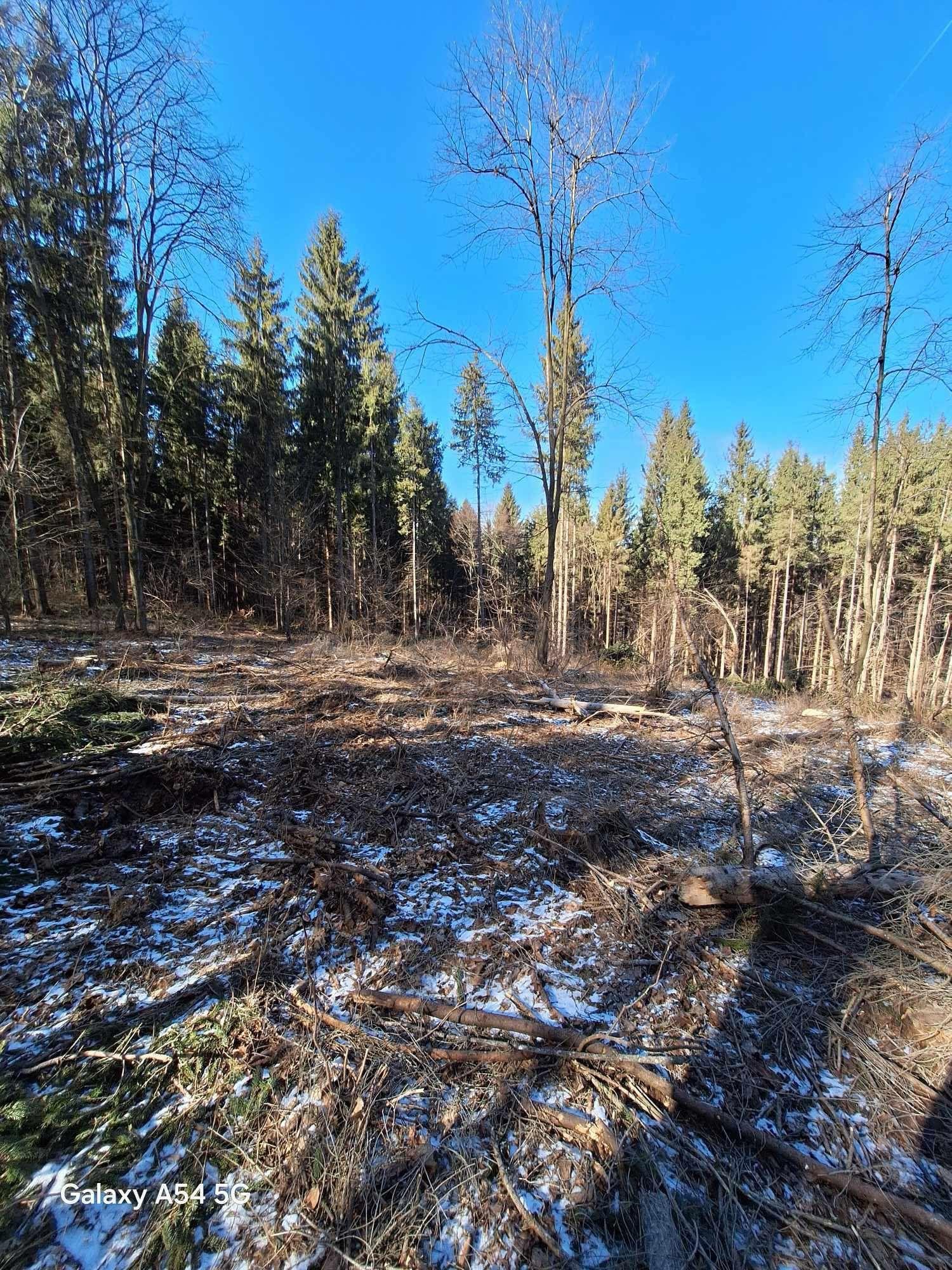 WhatsApp Image 2025-02-24 at 12.36.00_c83ef4a7.jpg