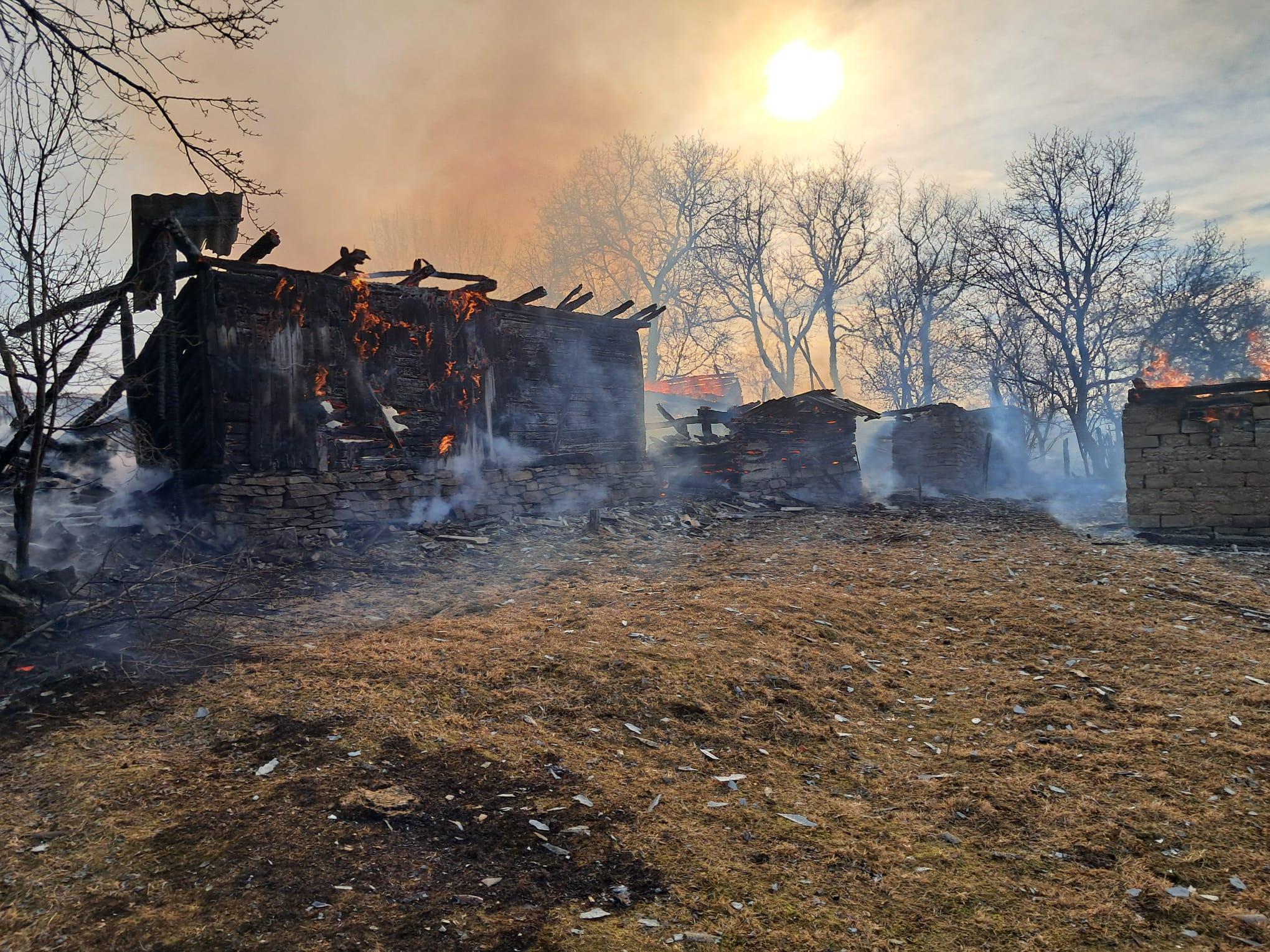 WhatsApp Image 2025-03-09 at 10.00.29 (1).jpeg