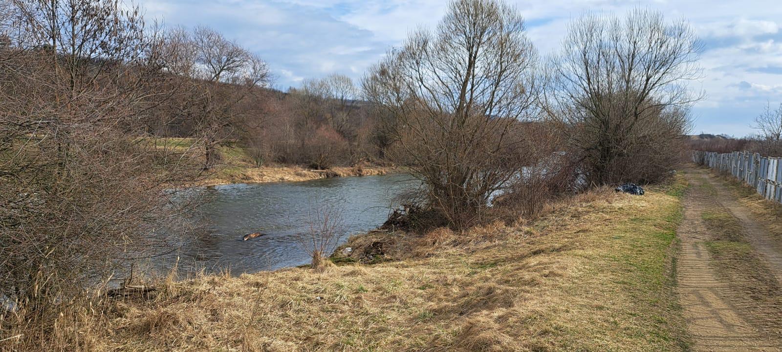 WhatsApp Image 2025-03-13 at 11.17.37.jpeg