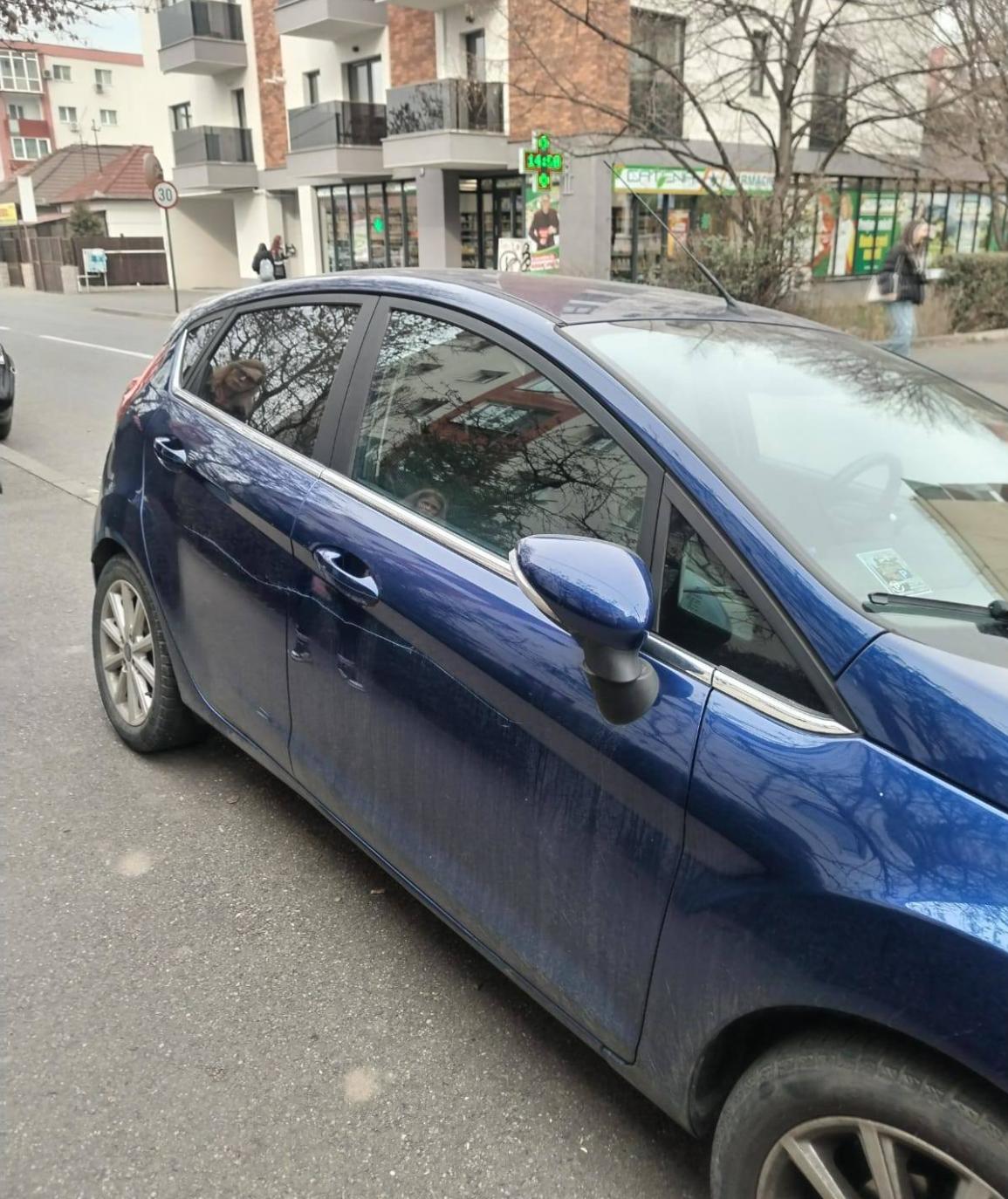 Screenshot 2025-03-10 170926.png